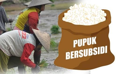 Tanggapi Isu Kelangkaan Pupuk Bersubsidi, KPPU Kanwil II Teliti Tata Kelola Pupuk di Lampung 